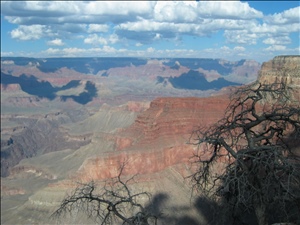 Grand Canyon-2005 021.jpg